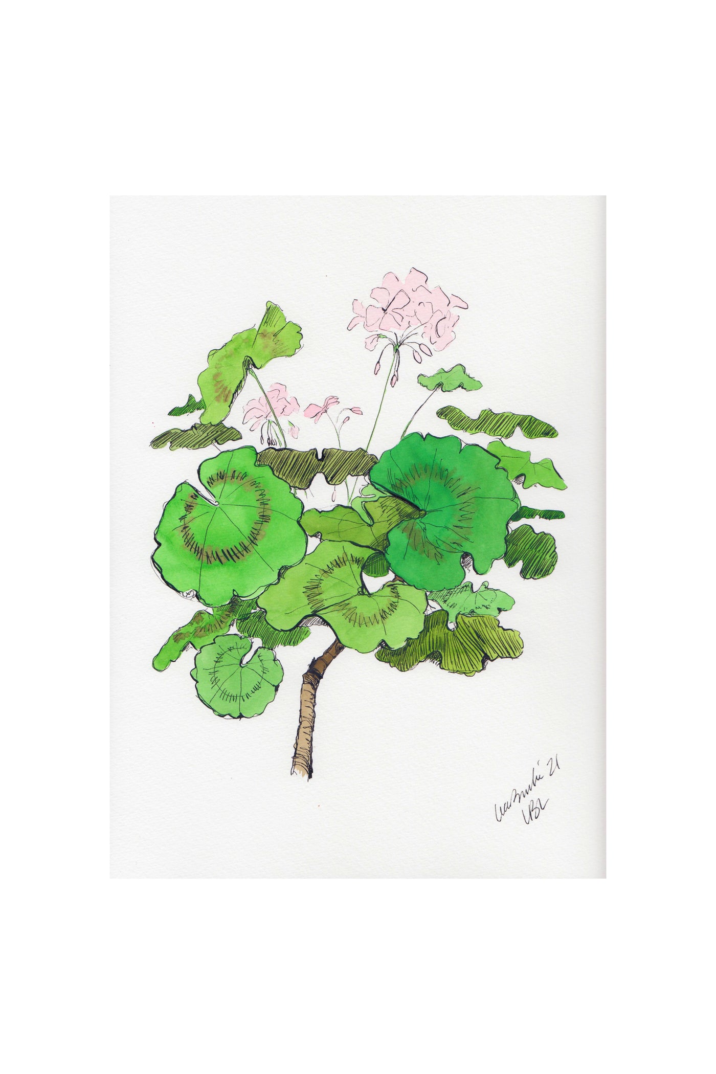 Light Pink Geraniums Set of 2 Prints