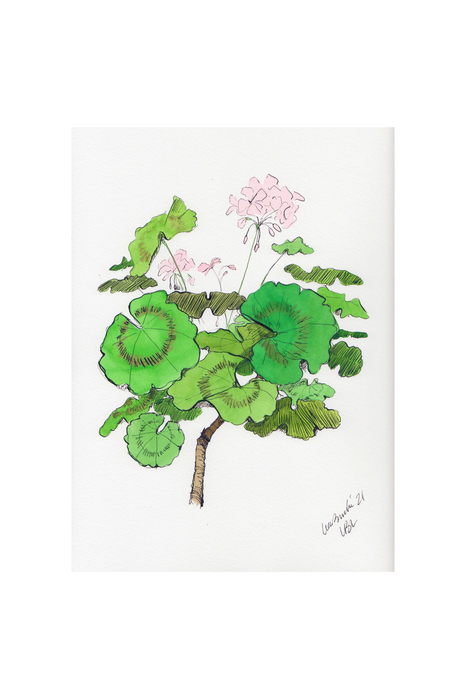 Light Pink Geraniums Set of 2 Prints
